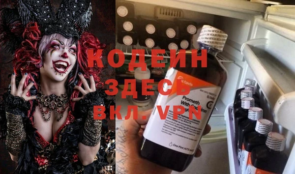 прущие грибы Верея