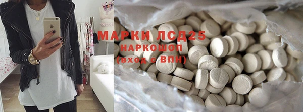 прущие грибы Верея