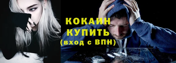 прущие грибы Верея