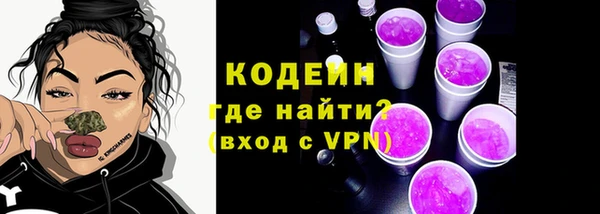 прущие грибы Верея