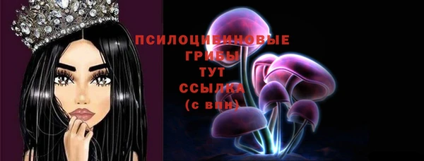 прущие грибы Верея