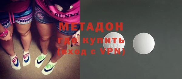 прущие грибы Верея