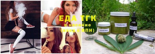 прущие грибы Верея