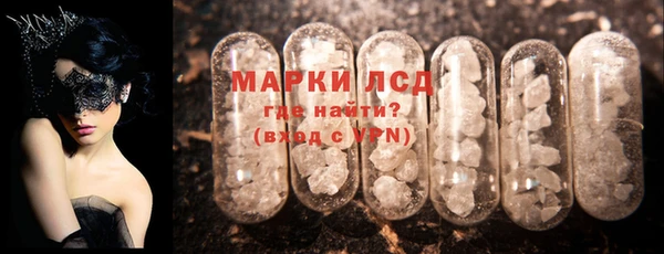 прущие грибы Верея