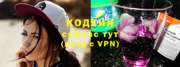 прущие грибы Верея