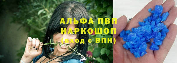 прущие грибы Верея